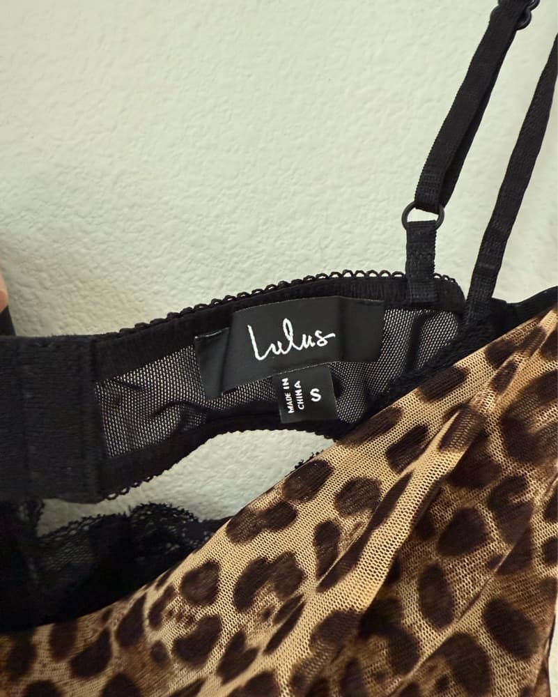 Lulus Leopard Print Mesh Mini Dress - Image 4