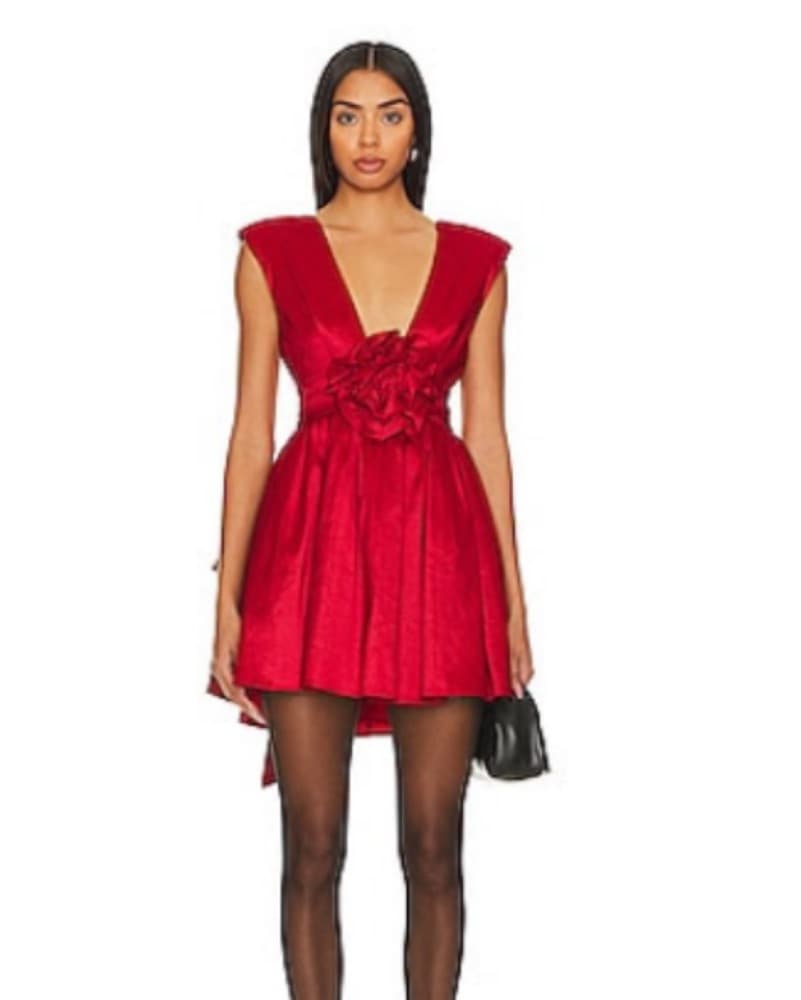 For Love And Lemon Rose Mini Dress - Image 2