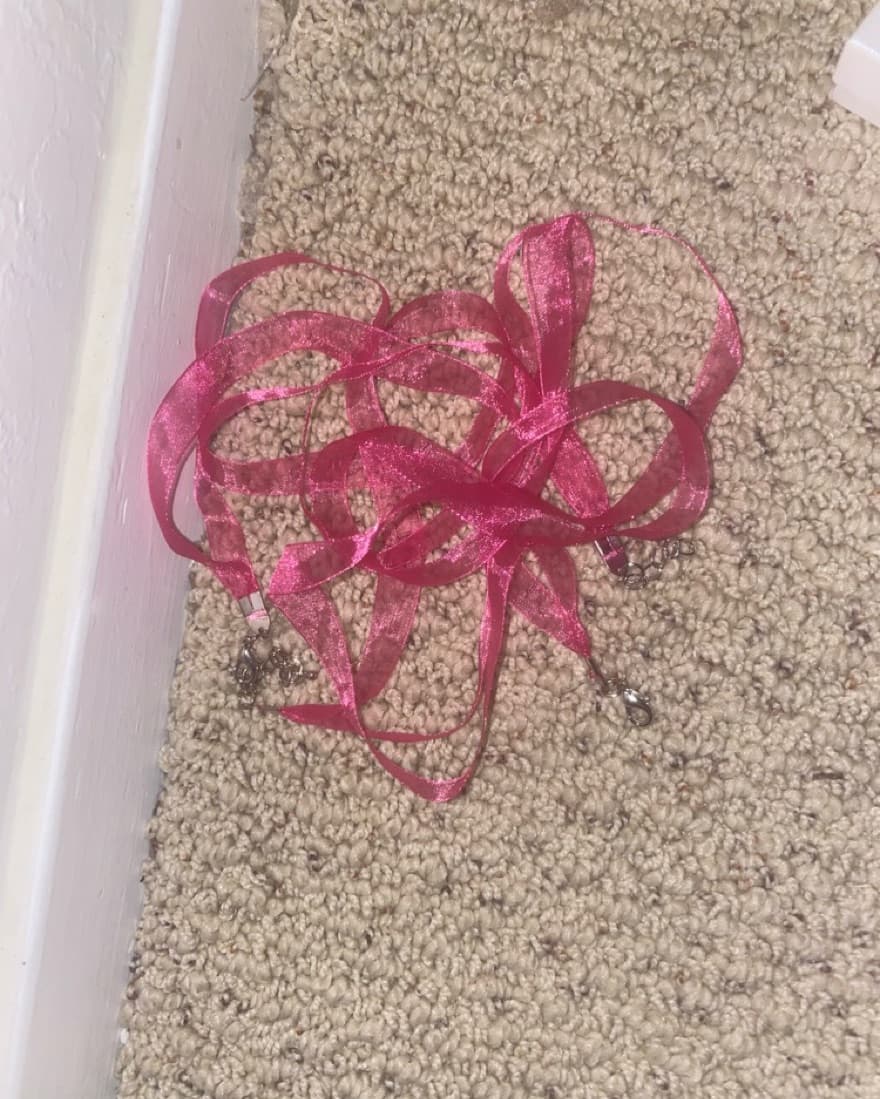 Dual Pink Ribbons - Image 2