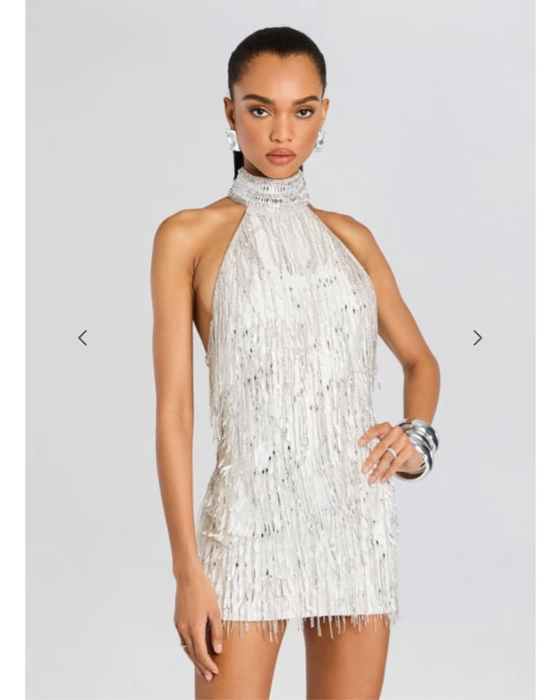 Retrofete Tori Embellished Dress - Image 6