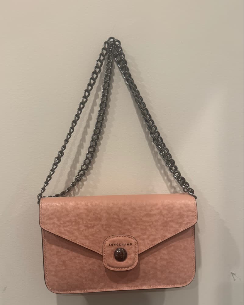 Longchamp Purse Pink - Image 1