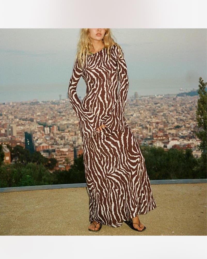 Realisation Par Gia Dress Brown Zebra  - Image 1