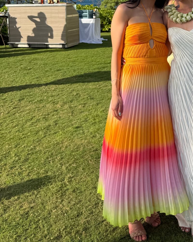 Simkhai Orange Ombre Dress - Image 2