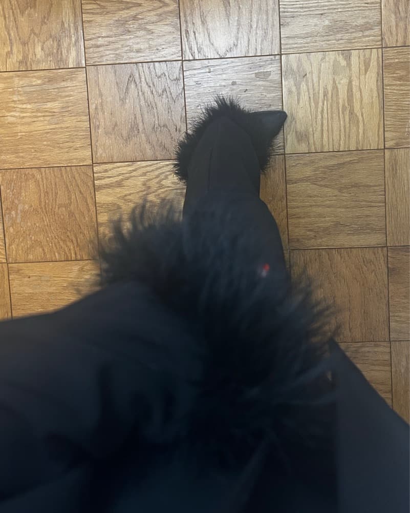 Nasty Gal black suit set feather trim - Image 2