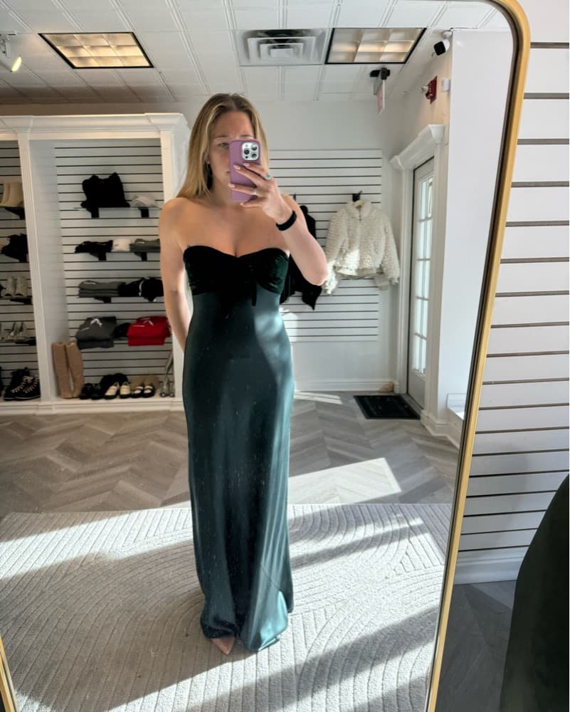 Cami NYC Lavinia Gown In Holly  - Image 3