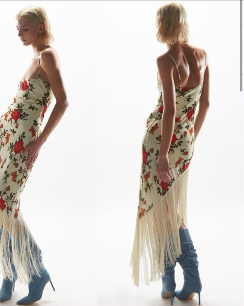 Mirae Belle Rose Floral Fringe Dress - Image 4