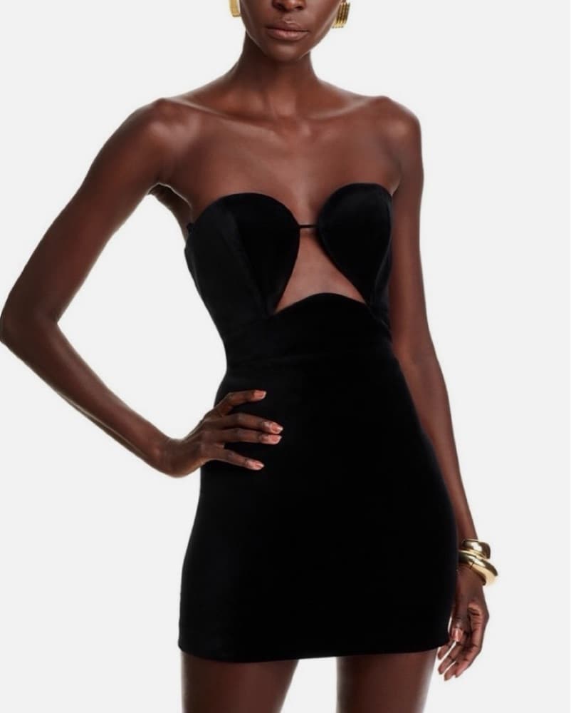 Mini Dress - BCBGMAXAZRIA - Image 1