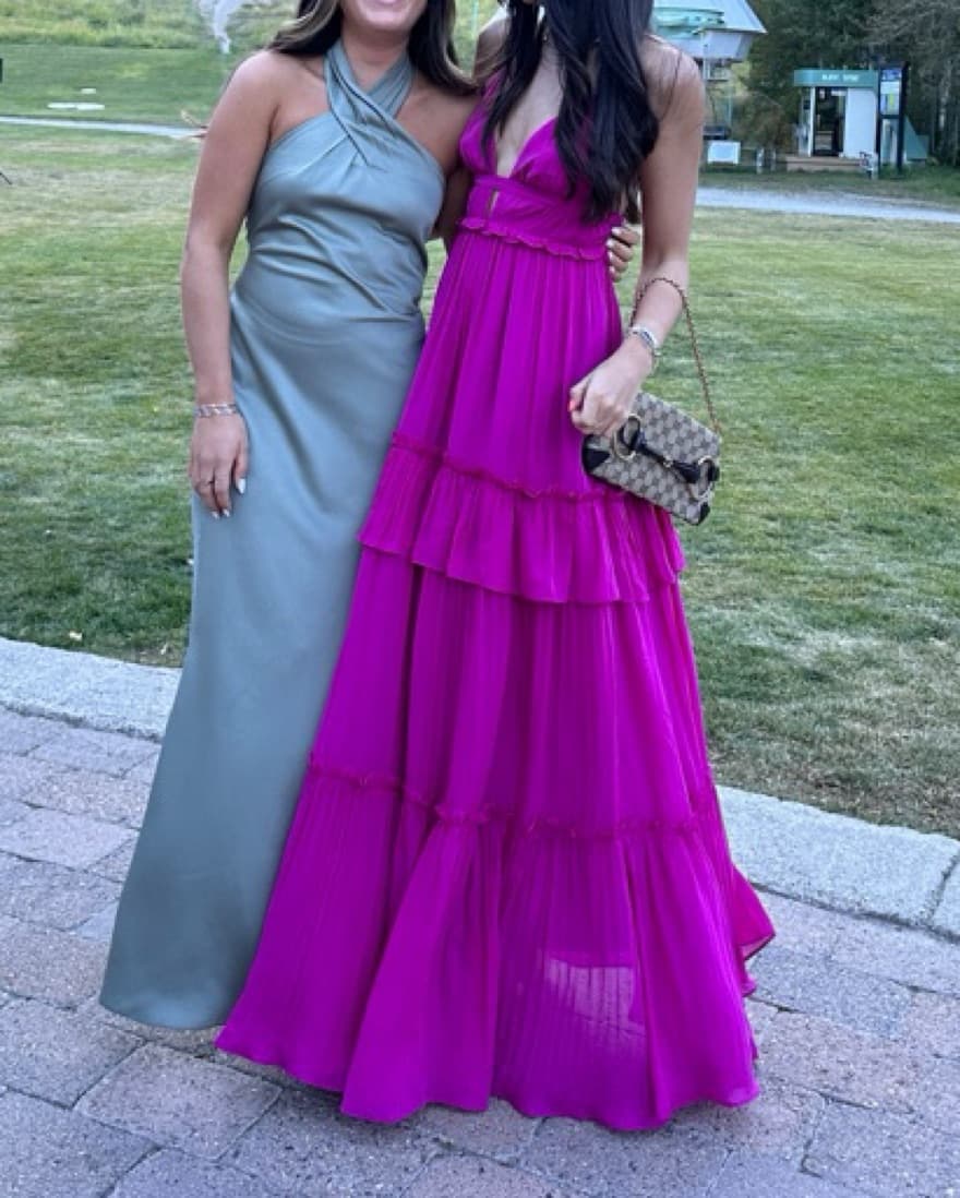 Cami NYC - Fuchsia Chiffon Gown  - Image 2