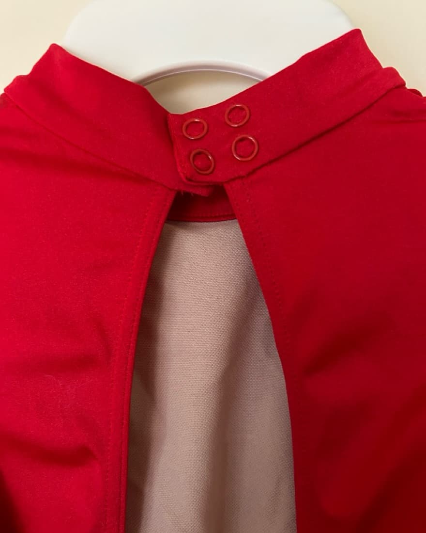 Contemporary/Jazz Costume - Image 3
