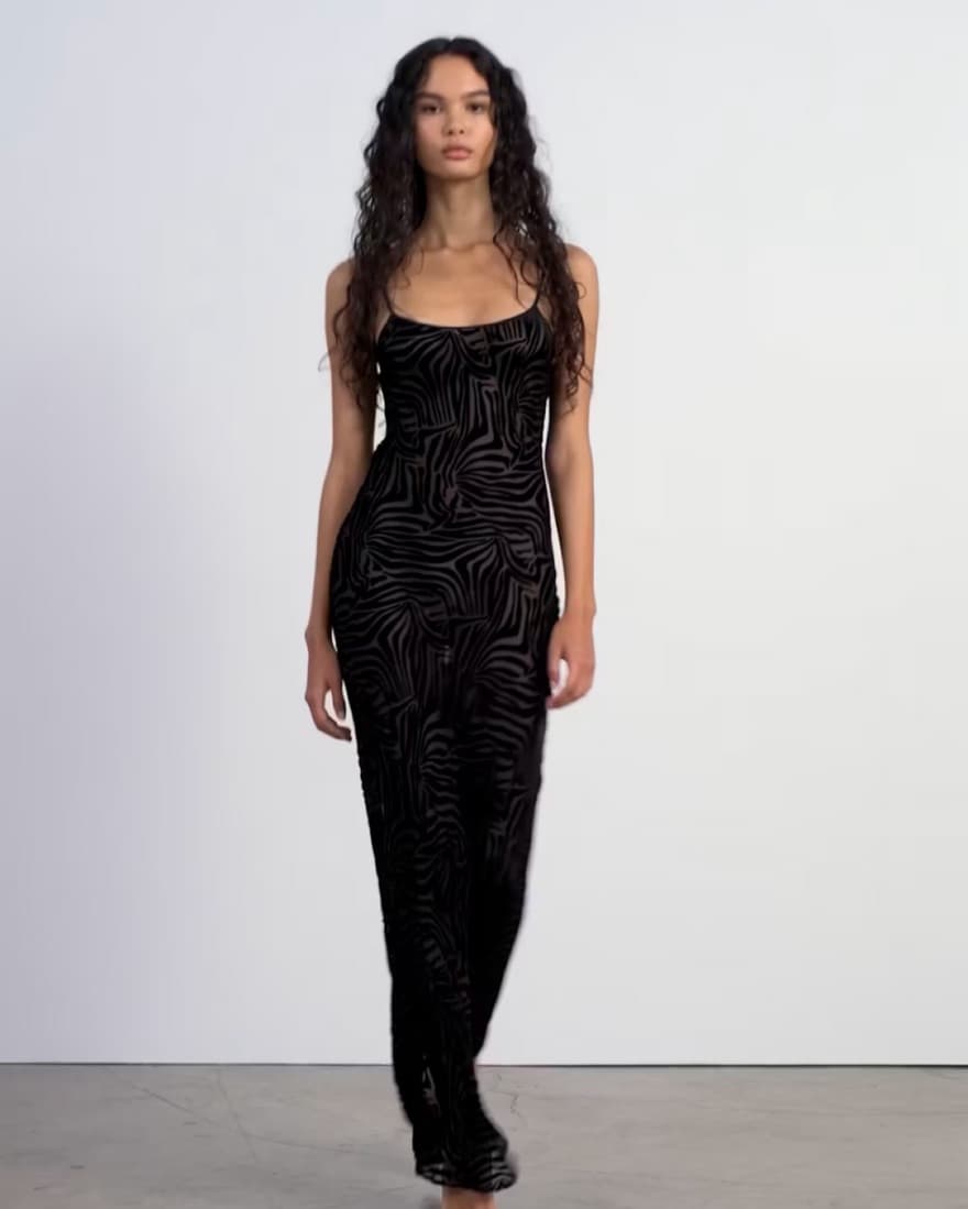 Sheer Zebra Black Dress - Image 2