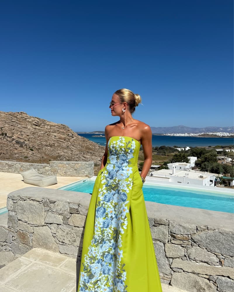 Sachin & Babi Larisa Gown  - Image 1