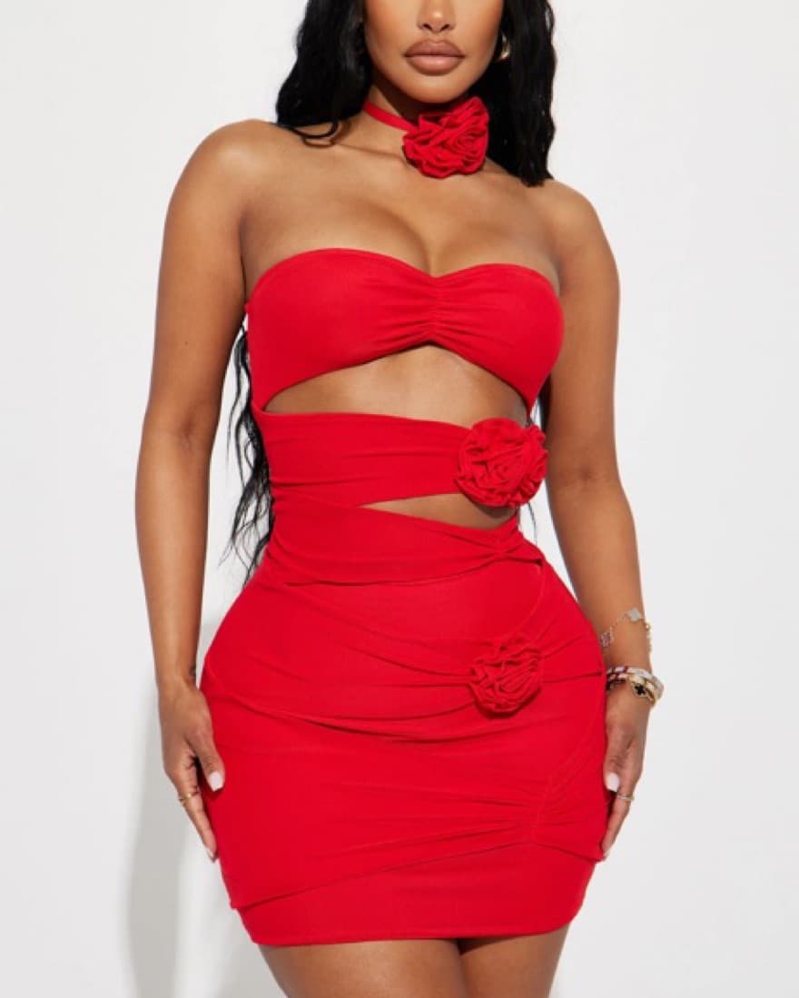 Roses Mini Mesh Dress With Rose Necklace - Image 3