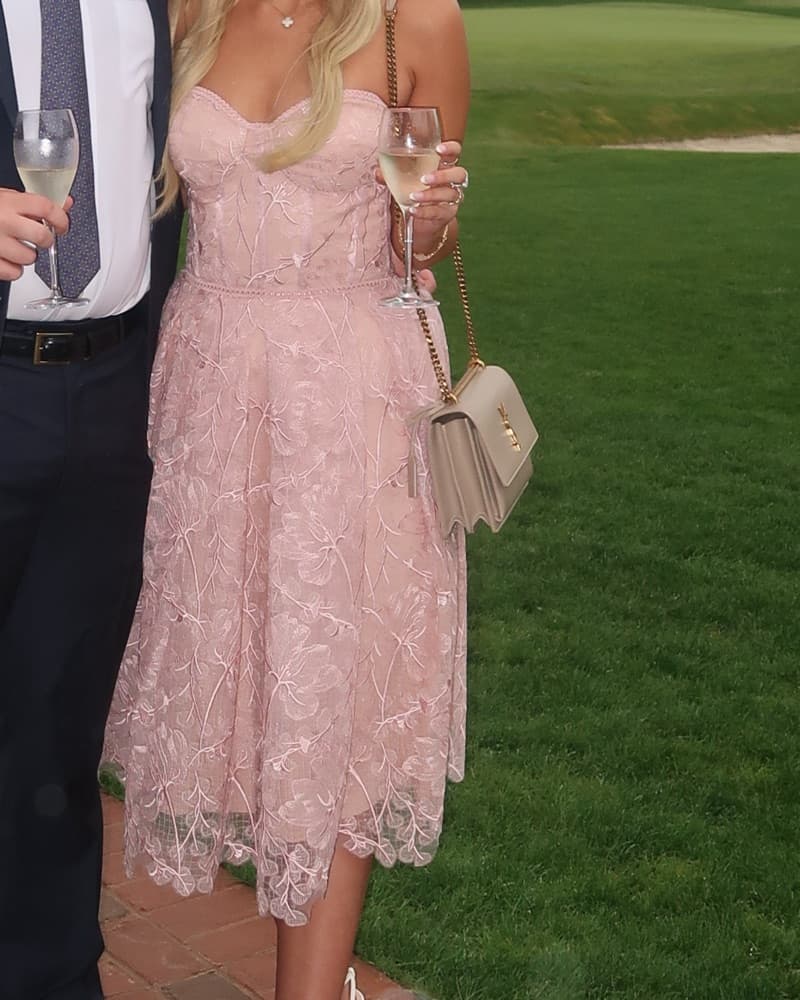 Nadine Merabi Olivia Blush Dress - Image 1
