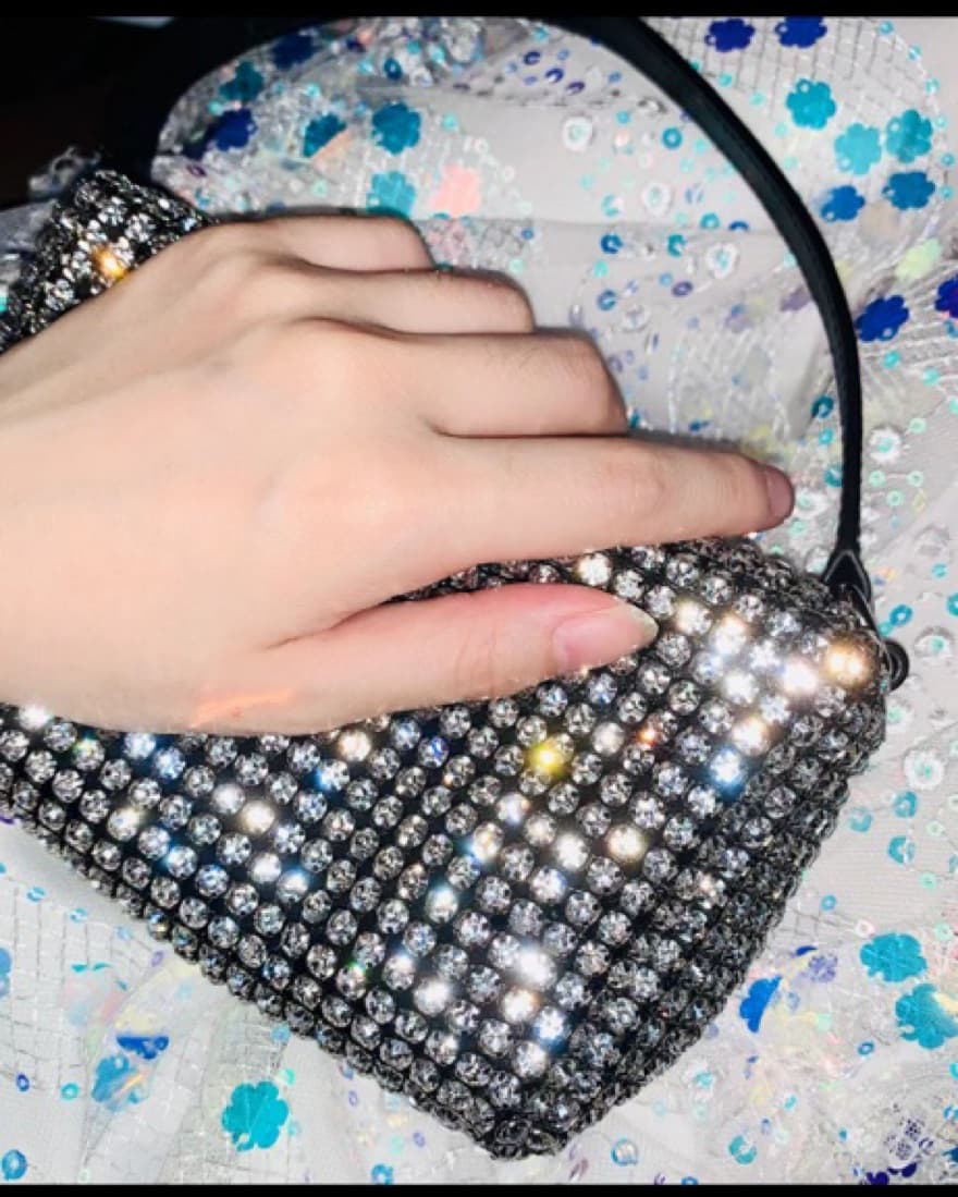 Alexander Wang Rhinestone Bag - Image 2
