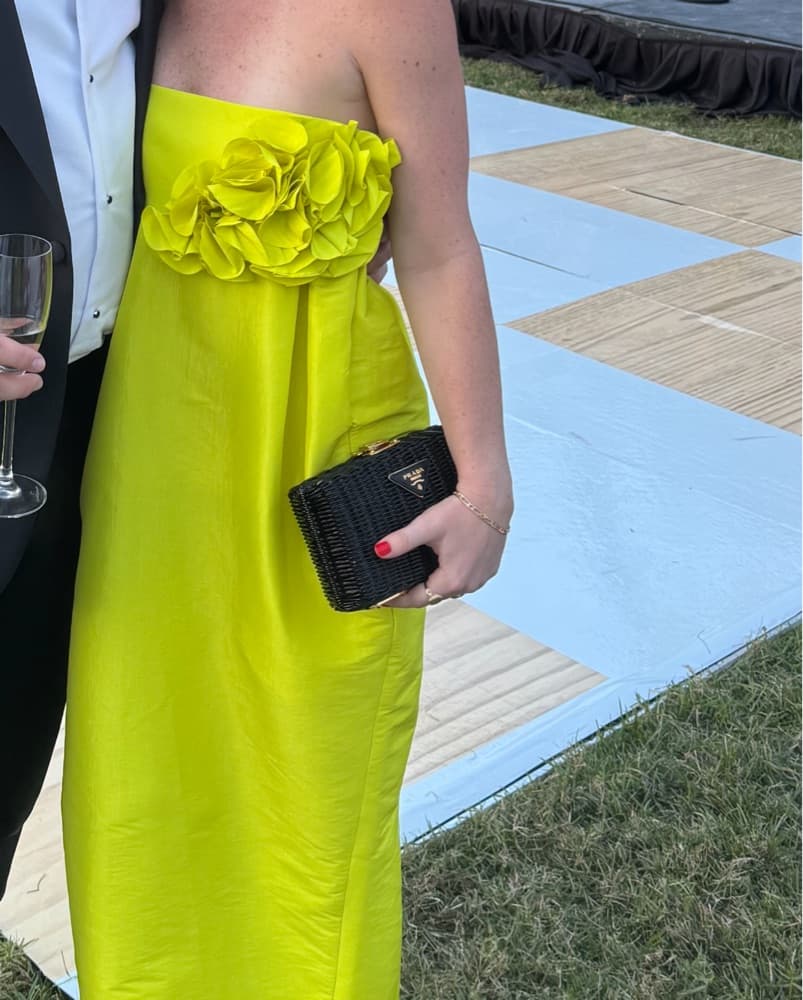 Kika Vargas Rosetta Dress - Image 1