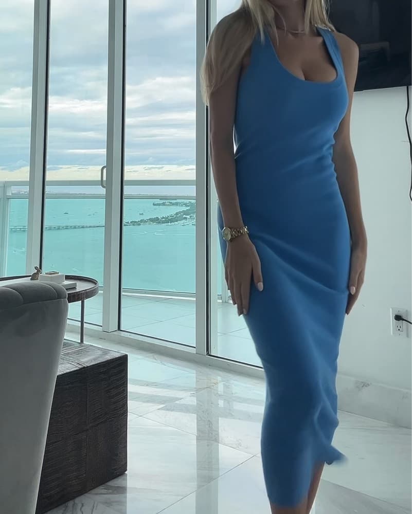 A.L.C. Blue Long Dress - Image 1