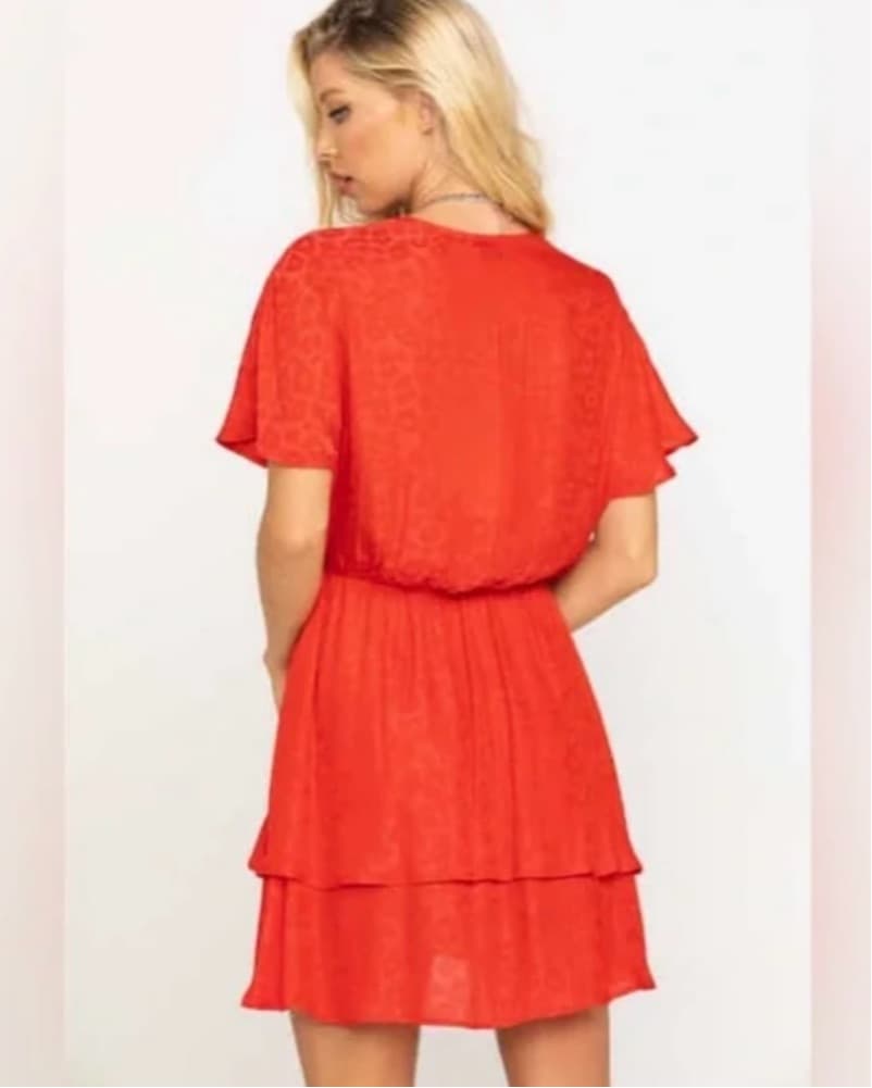 Show Me Your Mumu Red Leopard Mini Dress - Image 4
