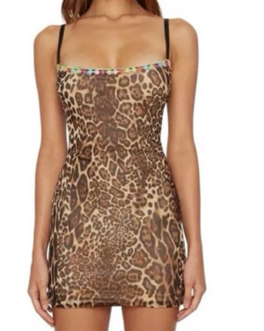 Danielle Guizio Leopard Mesh mini dress  - Image 4