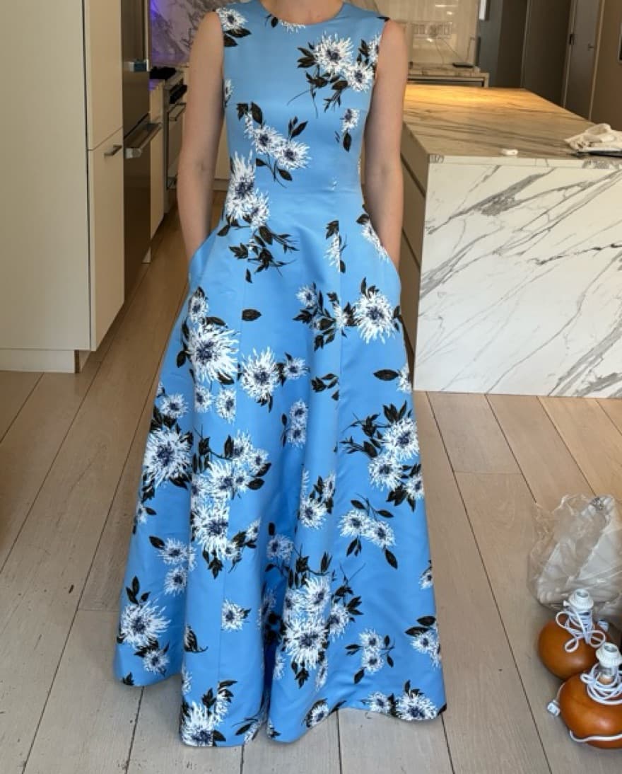 Emilia Wickstead Nodin Gown - Image 2