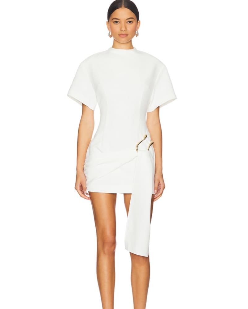 Lioness Martini Mini Dress - Image 1