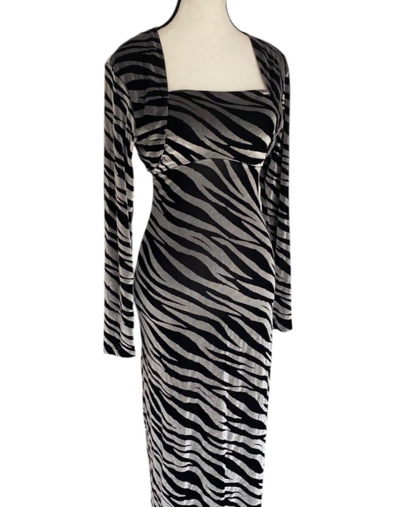 Sheer Black & Gray Velvet Dress w Bolero - Image 3