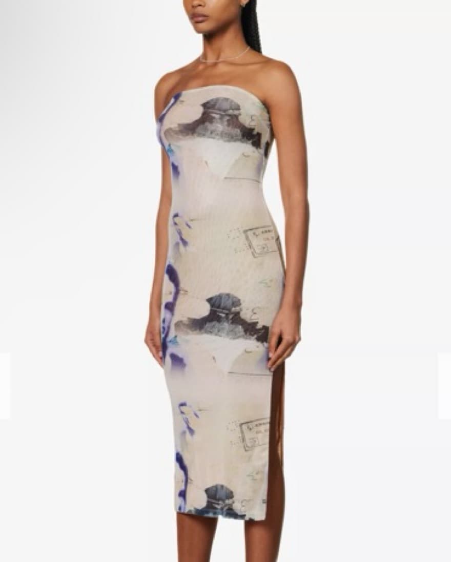 Miaou Mesh Dress - Image 3