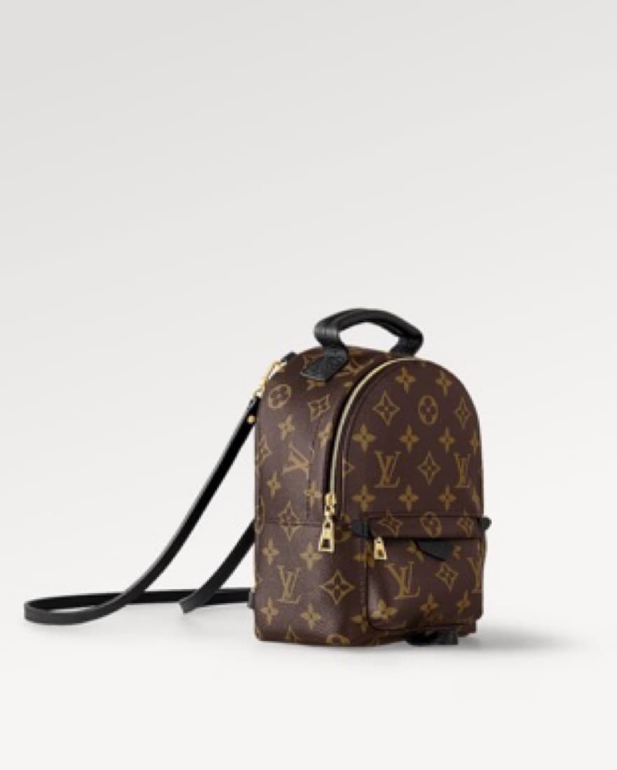 Louis Vuitton Palm Springs Mini Bag - Image 3