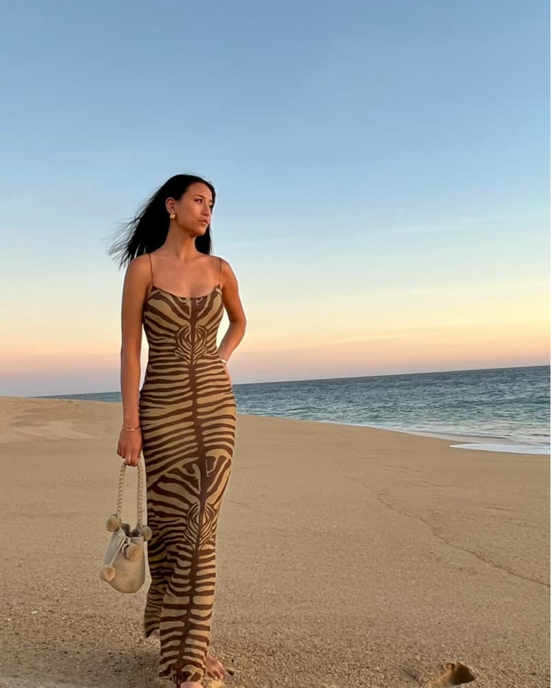 Ronny Kobo Scarlette Zebra Dress - Image 1