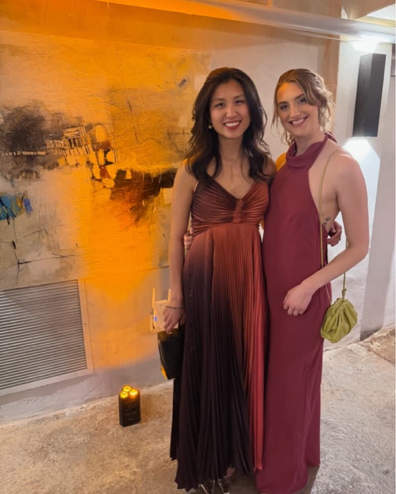 ALC Ariya Ombre Pleated Dress - Image 3