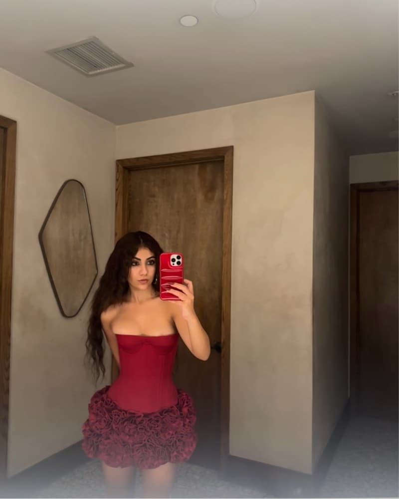 fanci club skirt or corset - Image 1
