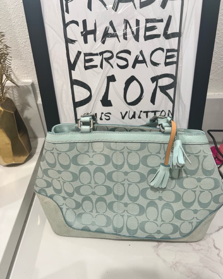 Coach Baby Blue Bag - Image 1