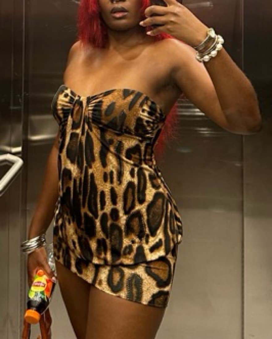 Leopard Print mini dress - Image 1