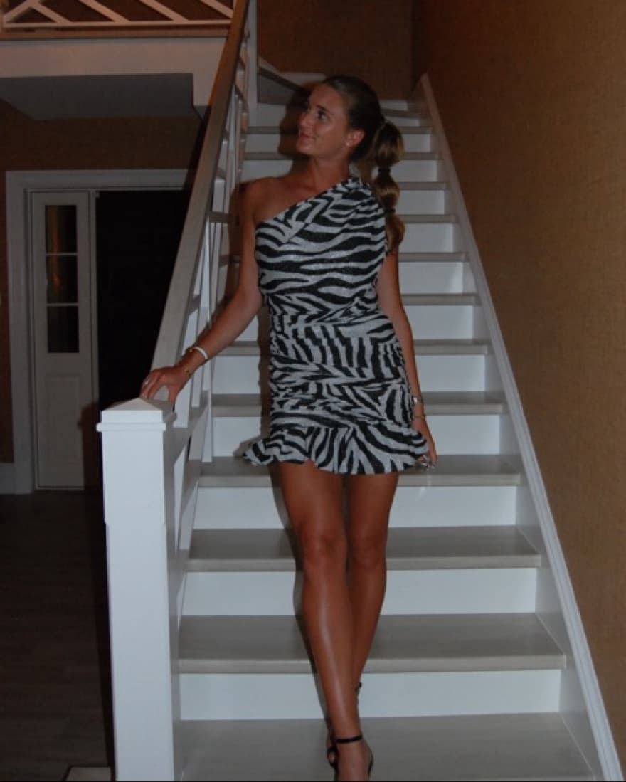 Redemption Zebra Sparkly Dress - Image 3