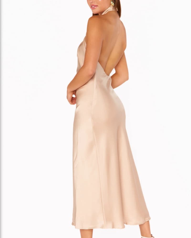 Show Me your MUMU Champgne Dress - Image 2