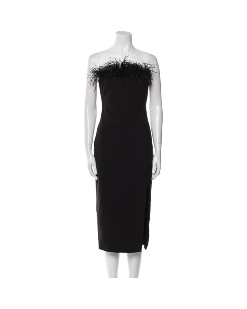 Massimo Dutti Feather Dress - Image 3
