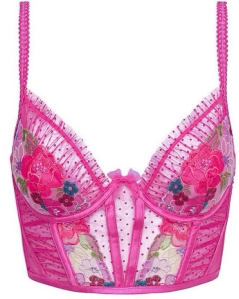 For Love & Lemons Bustier - Image 1