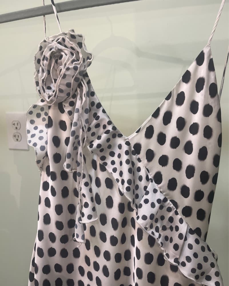 Zara Polka Dot Maxi - Image 2