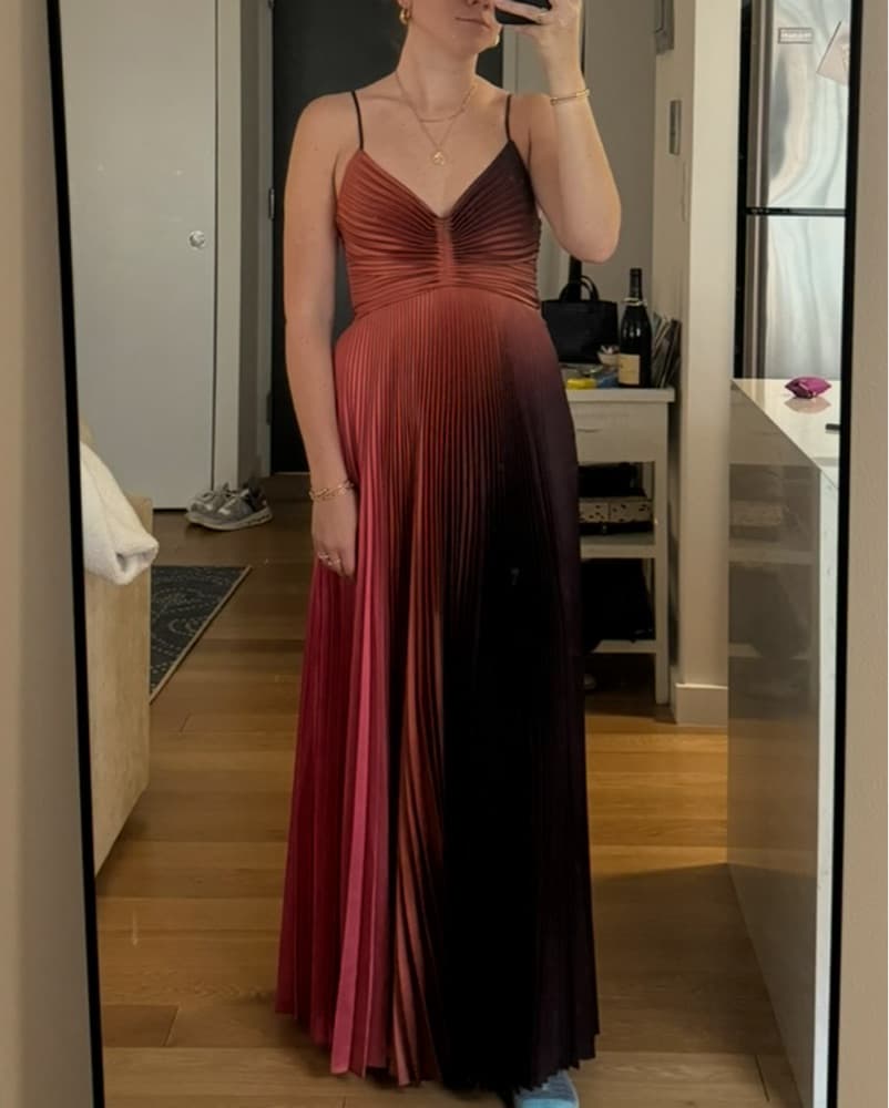 ALC Long Pleated Dress - Image 1