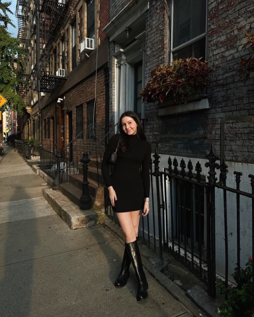 Aritzia Janice Dress - Image 2