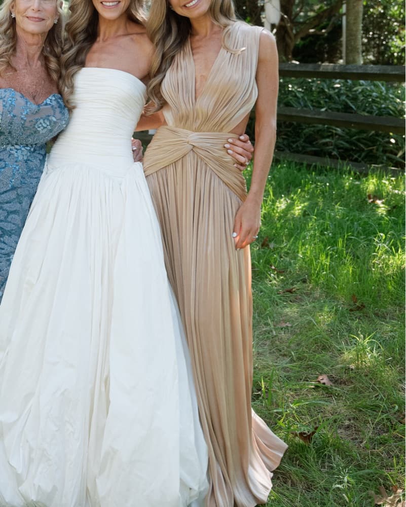 Costarellos Sillia Cutout Gathered Gown - Image 3