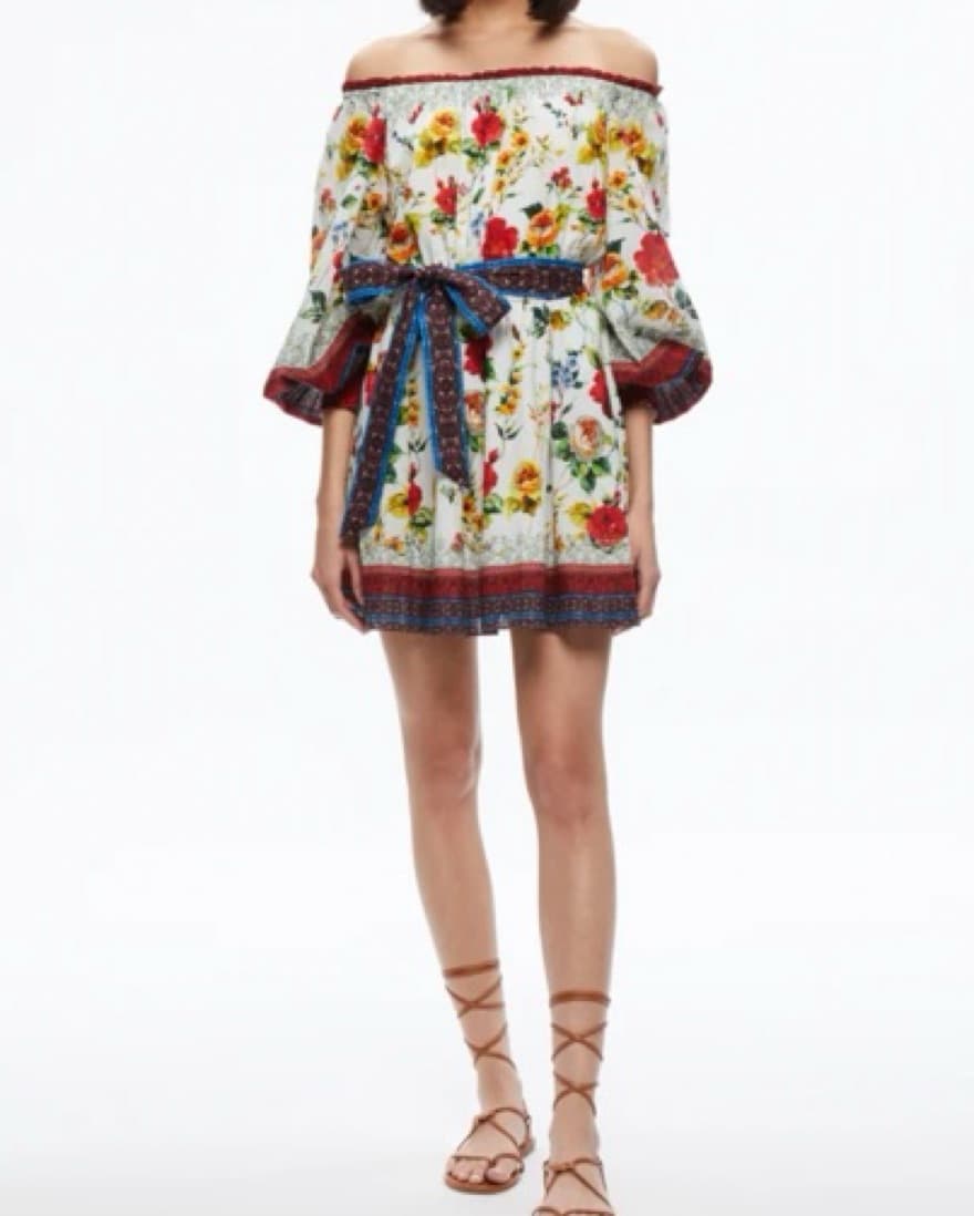 Alice & Olivia Tie Belt Dress - Image 1