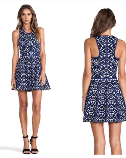 Parker Kaitlyn Fit And Flare Dress - Image 1