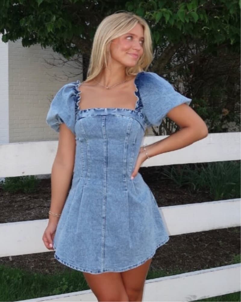 WKND CLUB: The Austin Denim Dress - Image 1