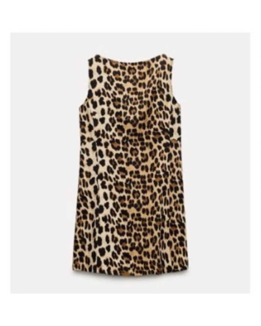 Zara Leopard Mini Dress - Image 1