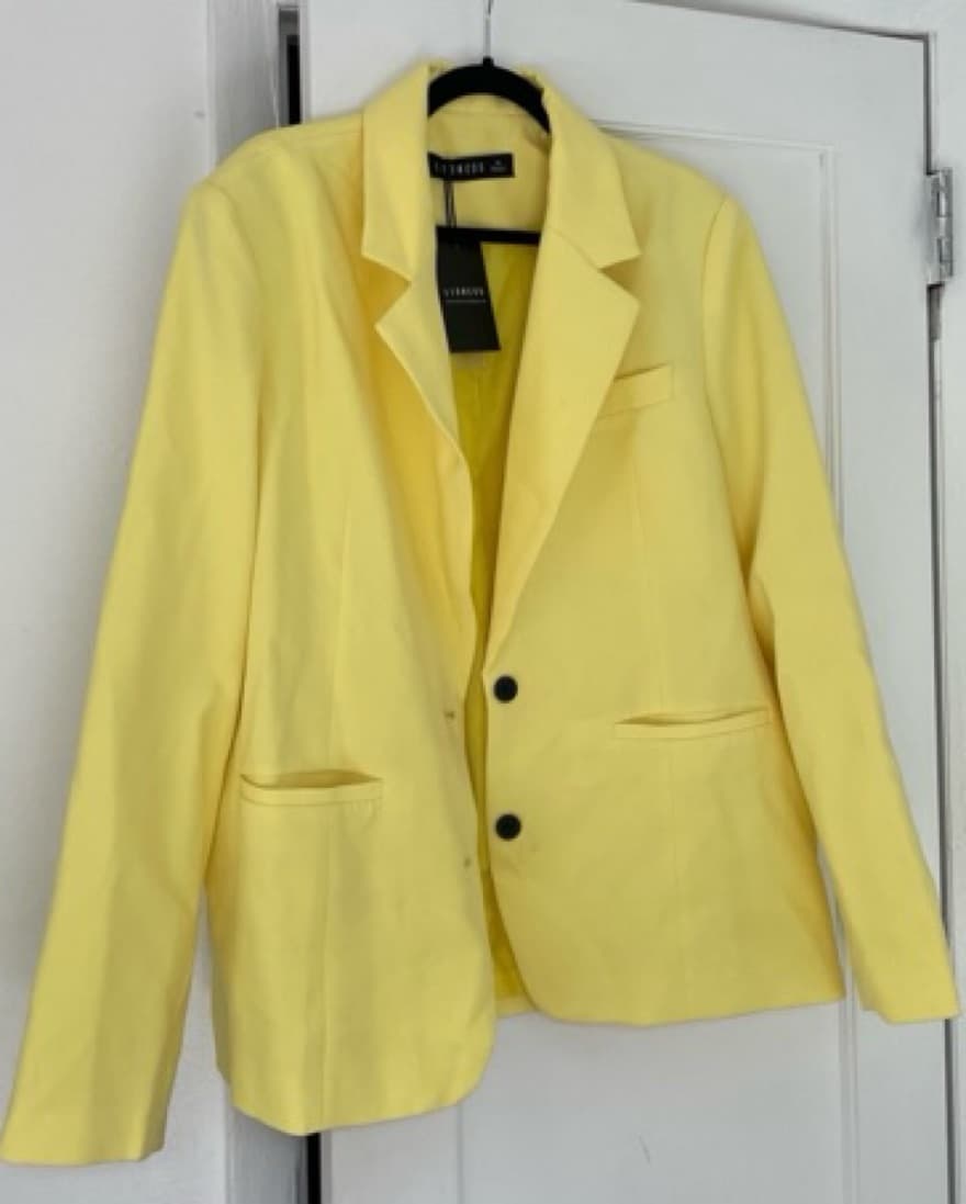 Lioness Lions Den Blazer - Image 4
