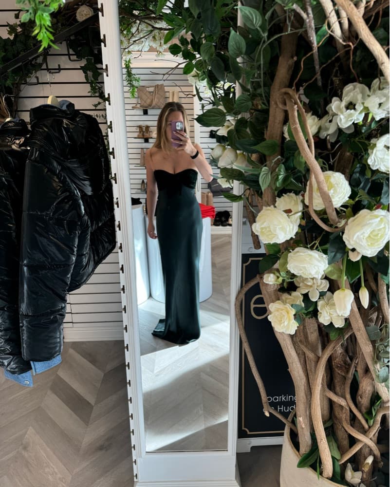 Cami NYC Lavinia Gown In Holly  - Image 2