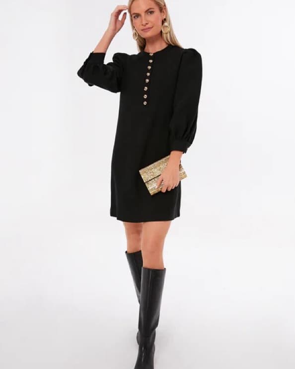 Tuckernuck Black Samantha Mini Dress - Image 1