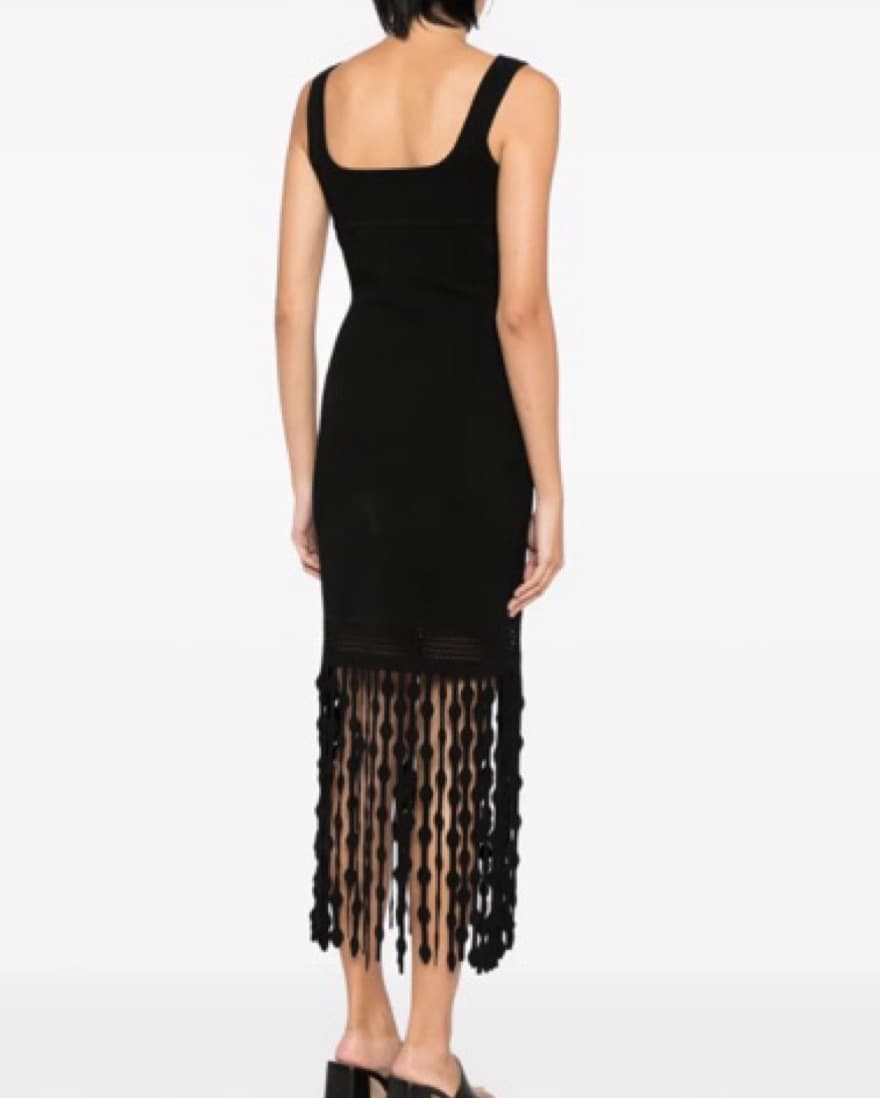 Black Babdage Dress With Fringe  - Image 3