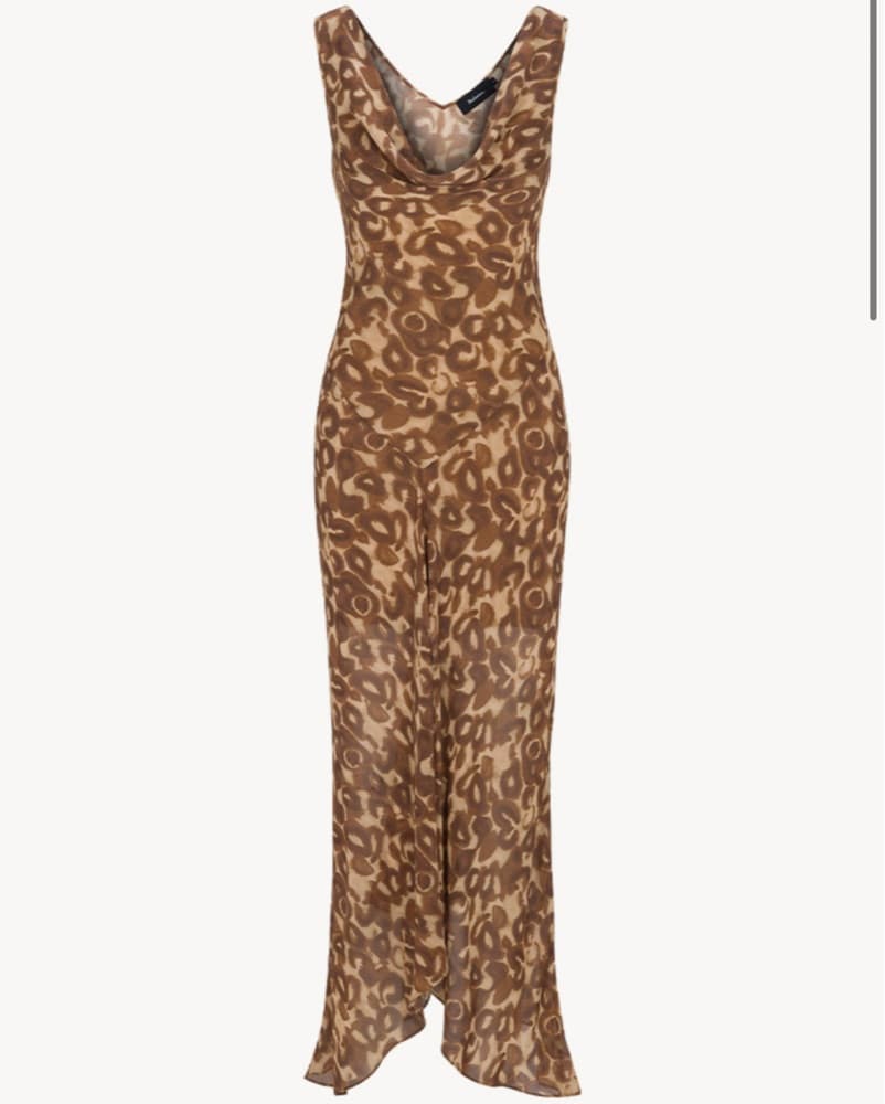 Leopard Print Maxi Dress - Image 1