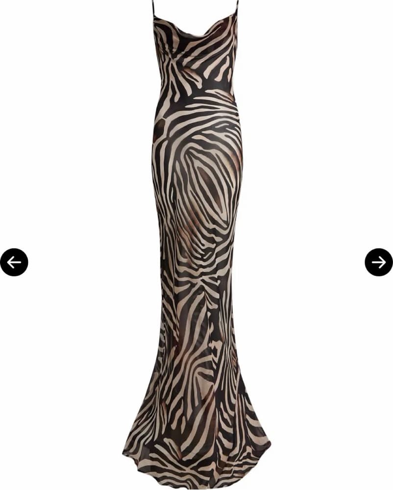 Rat & Boa Sheer Zebra Print Dress - Image 1